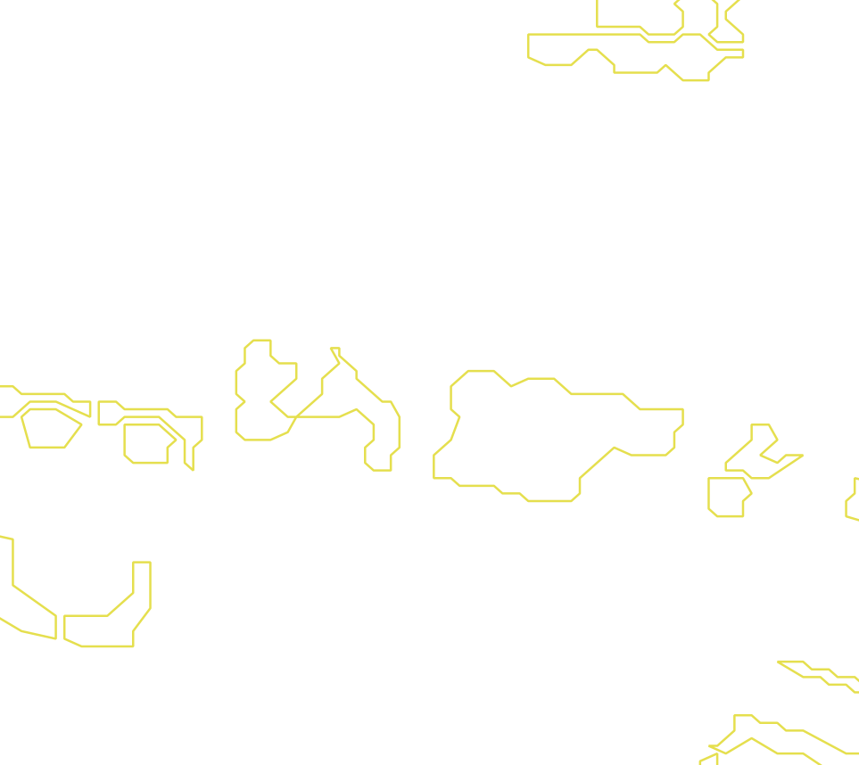 Daksegment met contourlijnen en structuurweergave