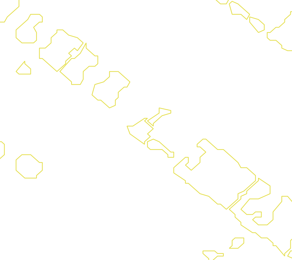 Daksegment met contourlijnen en structuurweergave