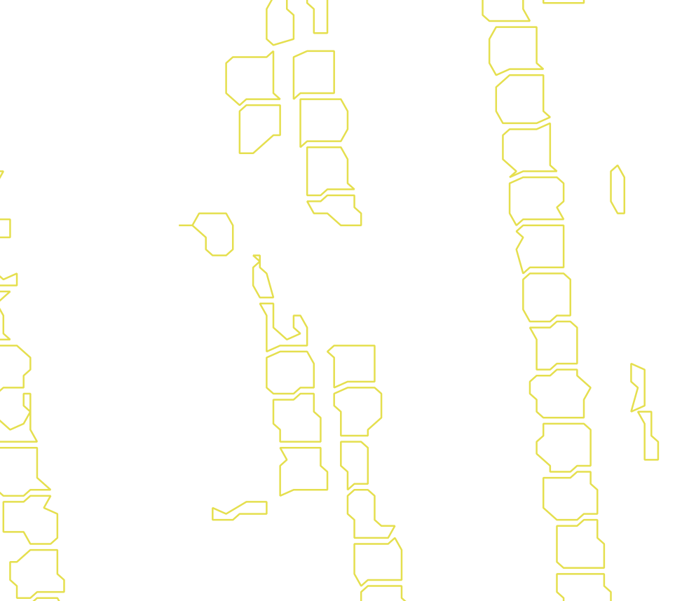 Daksegment met contourlijnen en structuurweergave