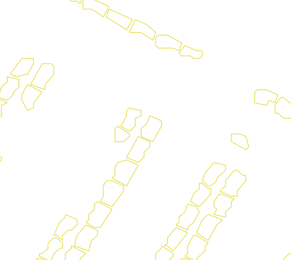 Daksegment met contourlijnen en structuurweergave