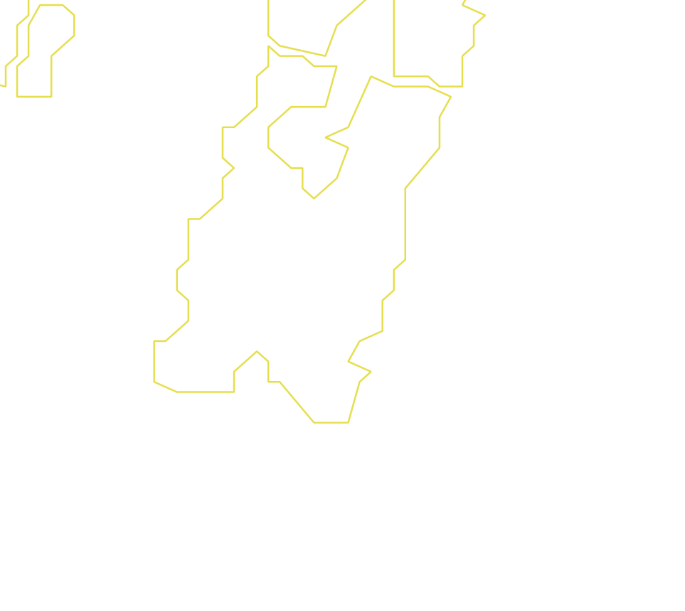 Daksegment ingezoomd met contourlijnen en structuurweergave