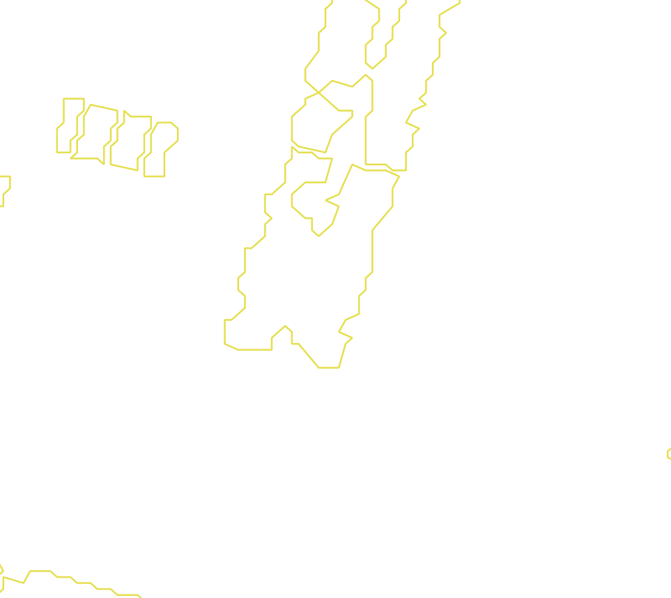Daksegment met contourlijnen en structuurweergave