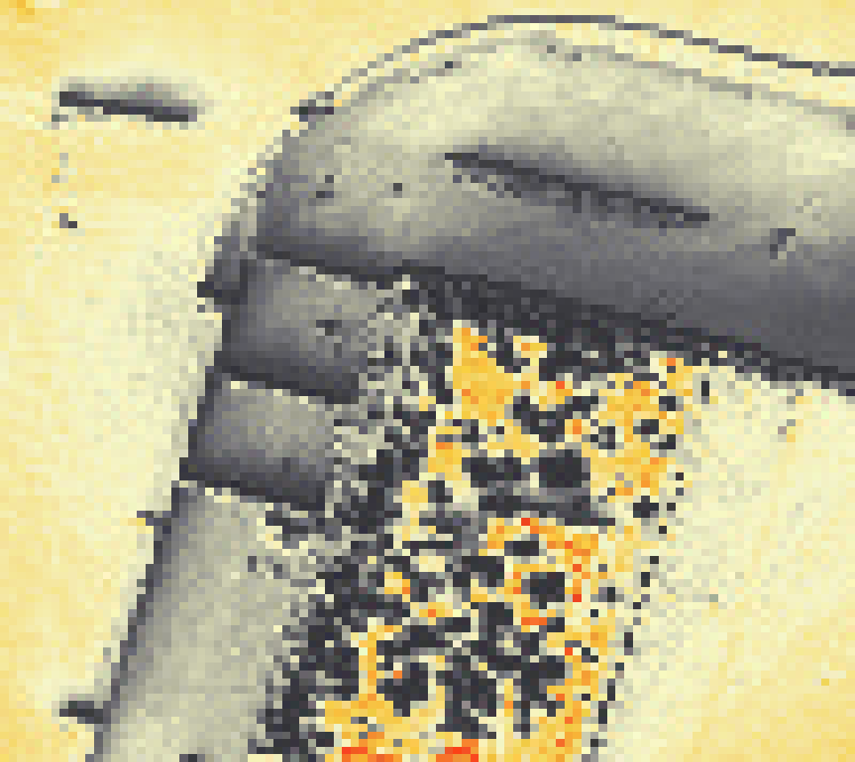 PV-irradiatie op daksegment met intensiteitsverdeling van zonlicht