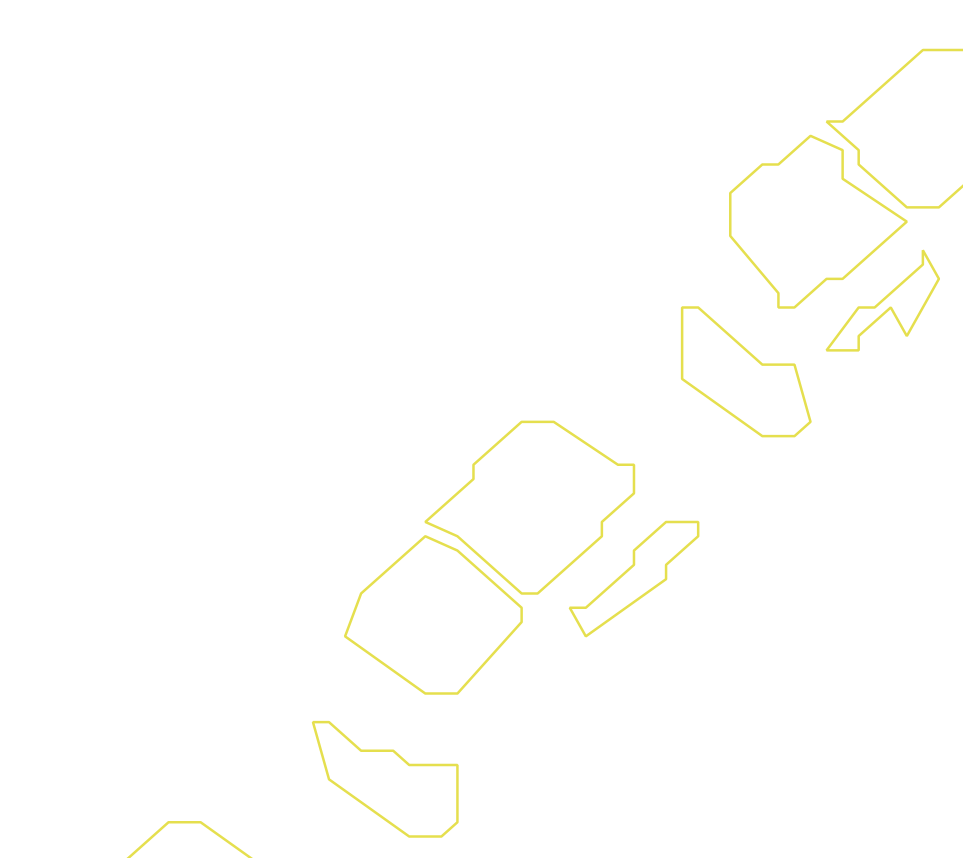 Daksegment ingezoomd met contourlijnen en structuurweergave