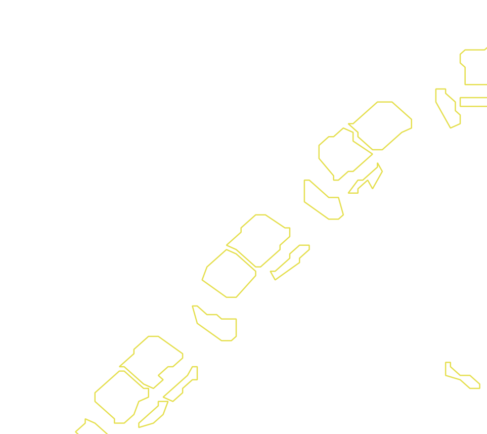Daksegment met contourlijnen en structuurweergave