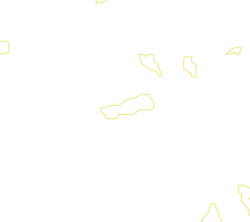 Daksegment met contourlijnen en structuurweergave
