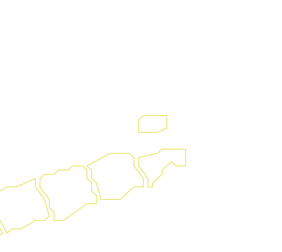 Daksegment ingezoomd met contourlijnen en structuurweergave
