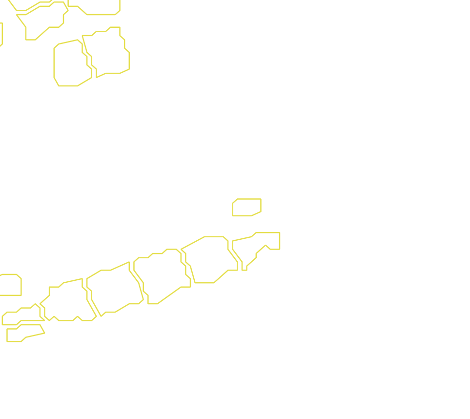 Daksegment met contourlijnen en structuurweergave
