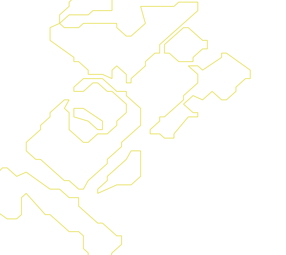 Daksegment ingezoomd met contourlijnen en structuurweergave