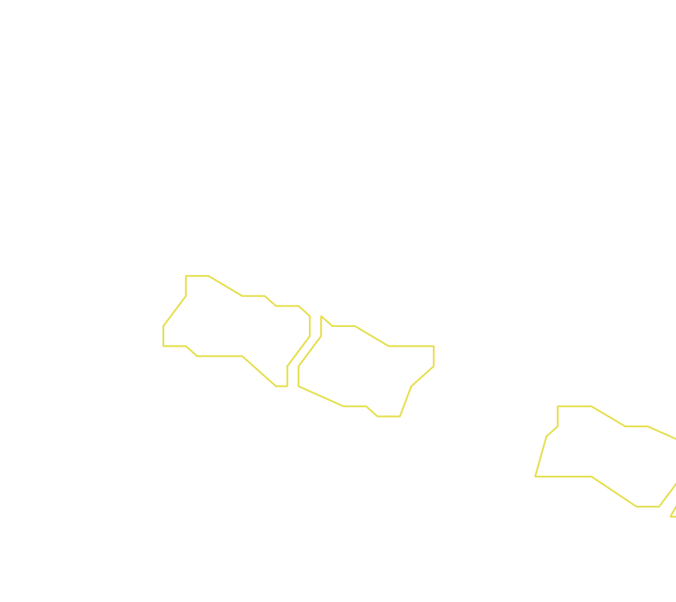 Daksegment ingezoomd met contourlijnen en structuurweergave