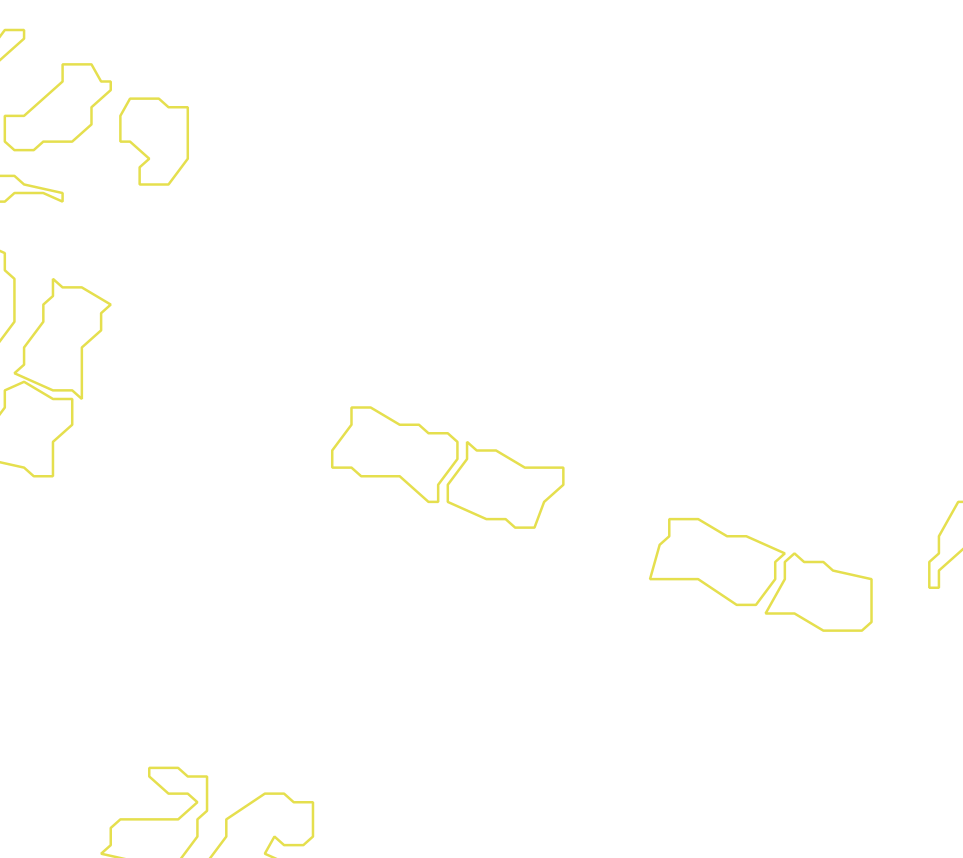 Daksegment met contourlijnen en structuurweergave