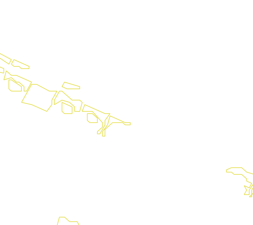 Daksegment met contourlijnen en structuurweergave