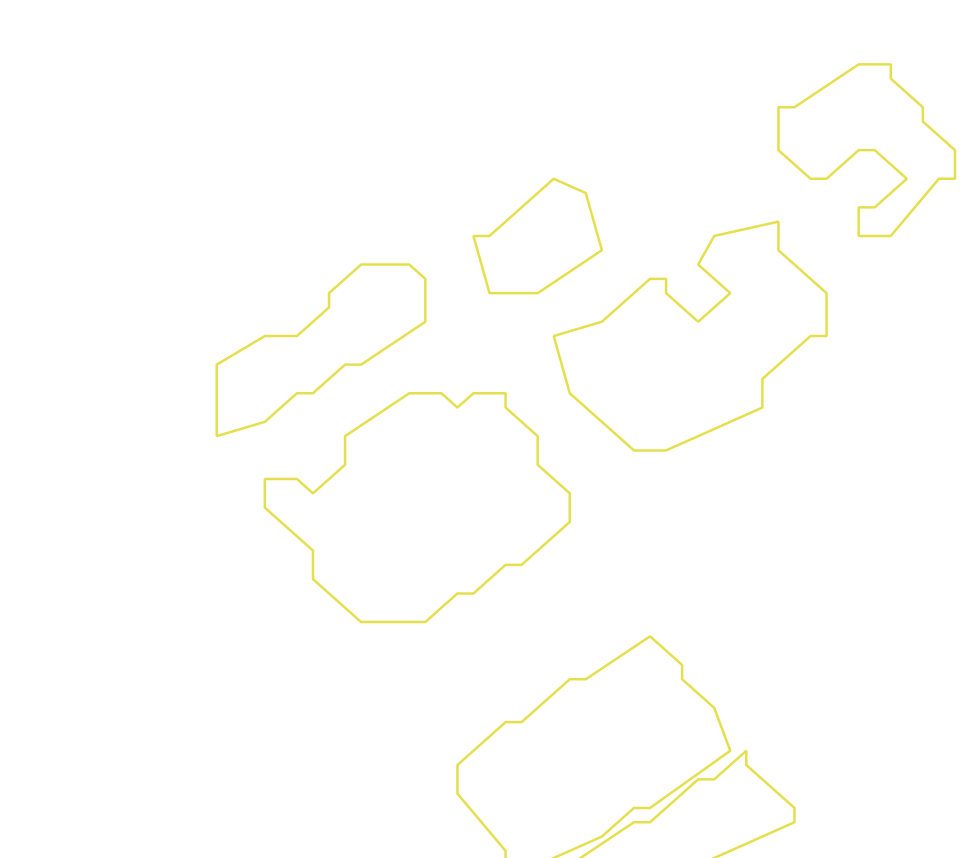 Daksegment ingezoomd met contourlijnen en structuurweergave