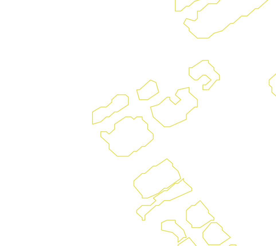Daksegment met contourlijnen en structuurweergave