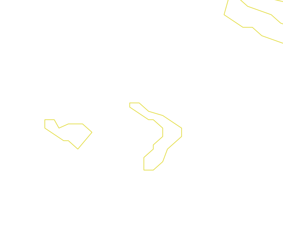 Daksegment ingezoomd met contourlijnen en structuurweergave