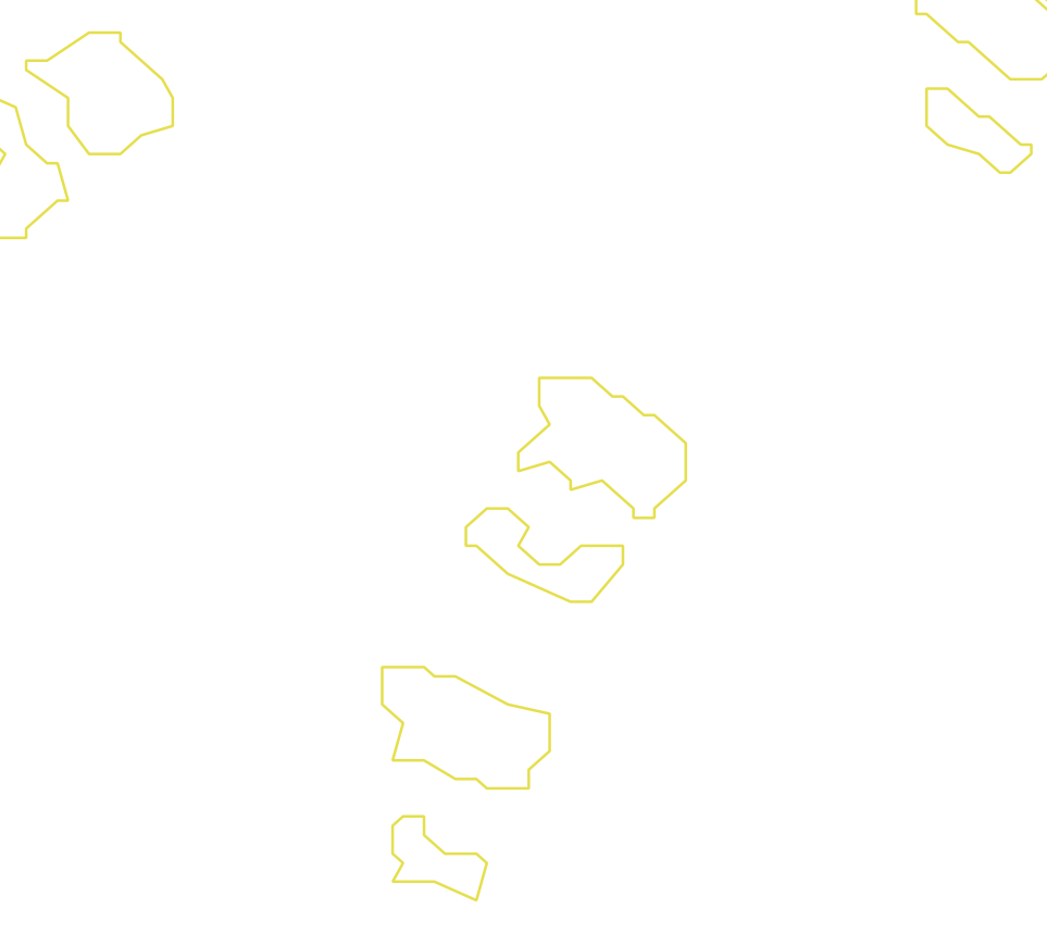 Daksegment met contourlijnen en structuurweergave