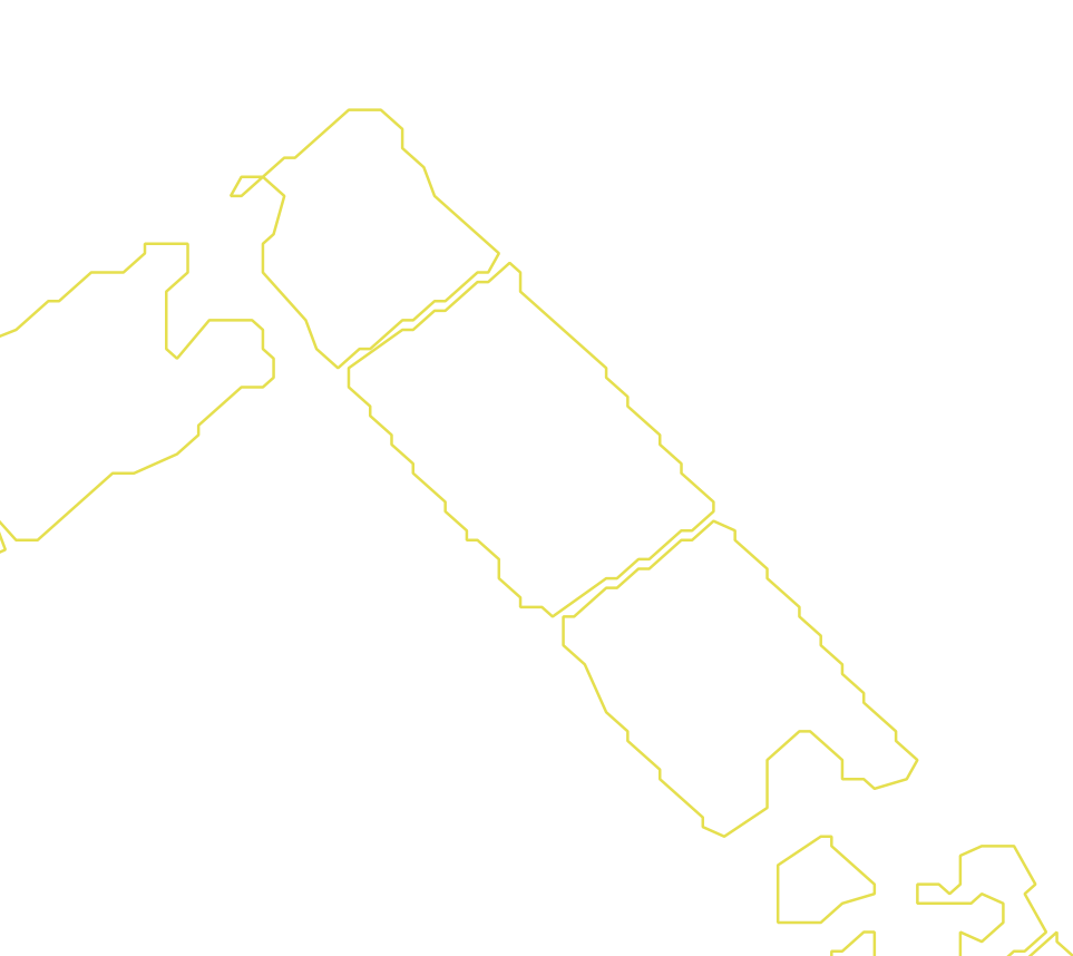 Daksegment met contourlijnen en structuurweergave