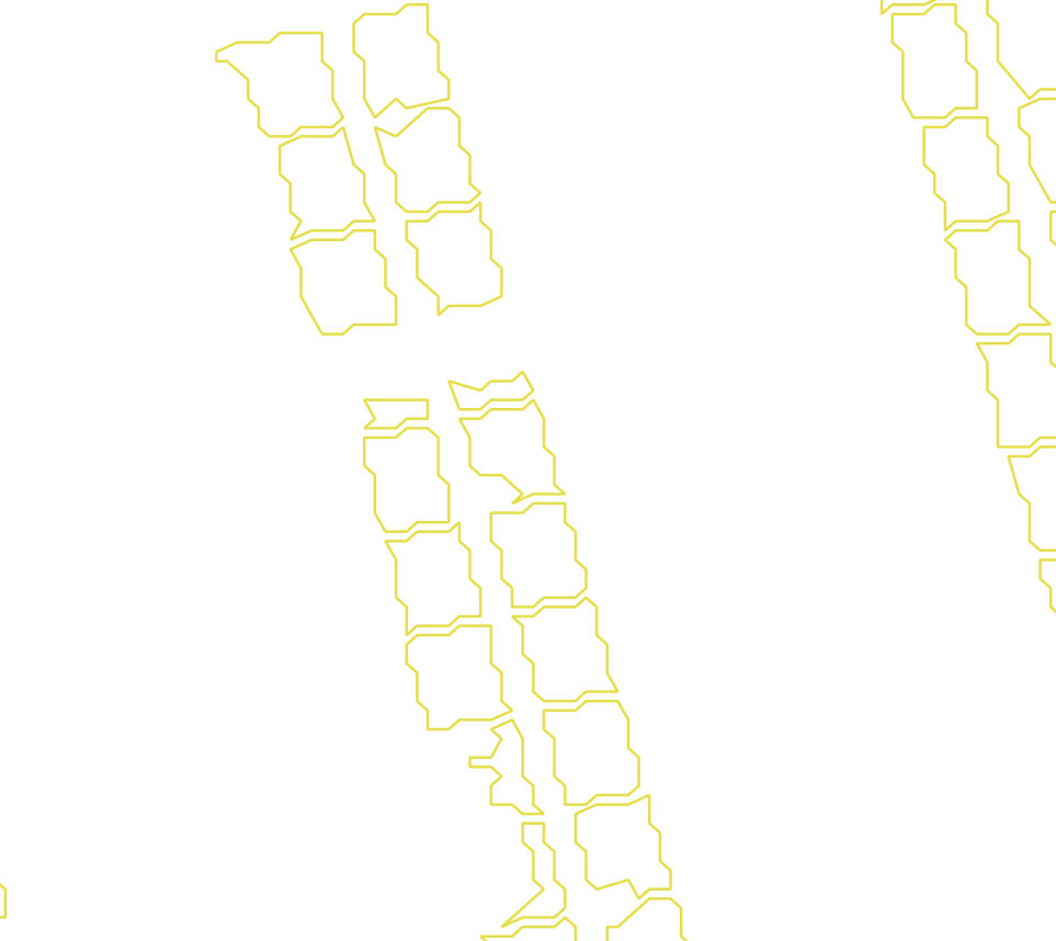 Daksegment met contourlijnen en structuurweergave