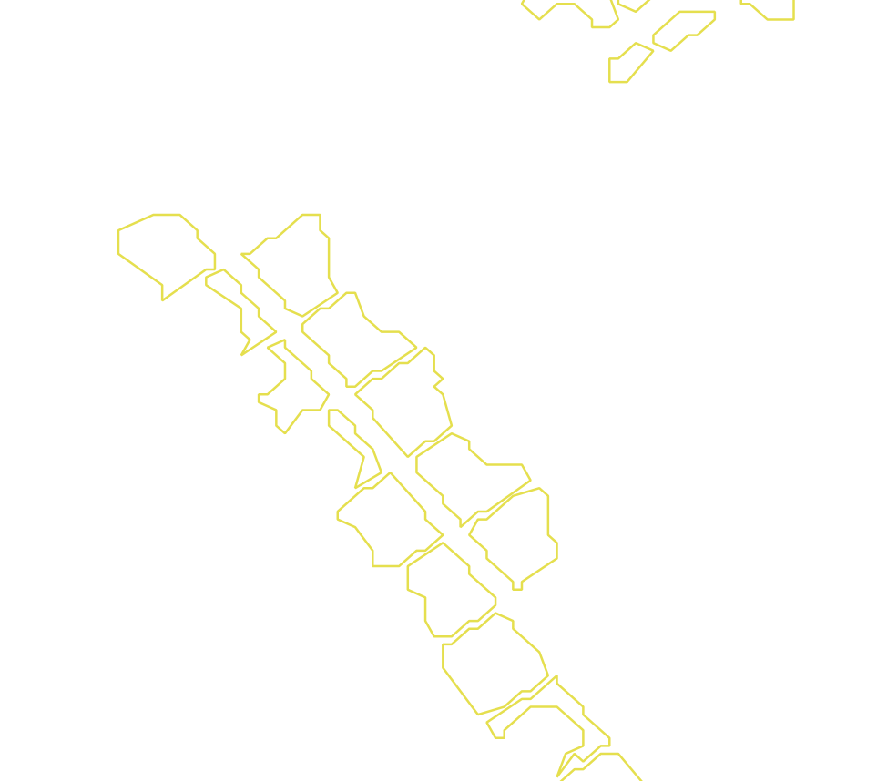 Daksegment met contourlijnen en structuurweergave