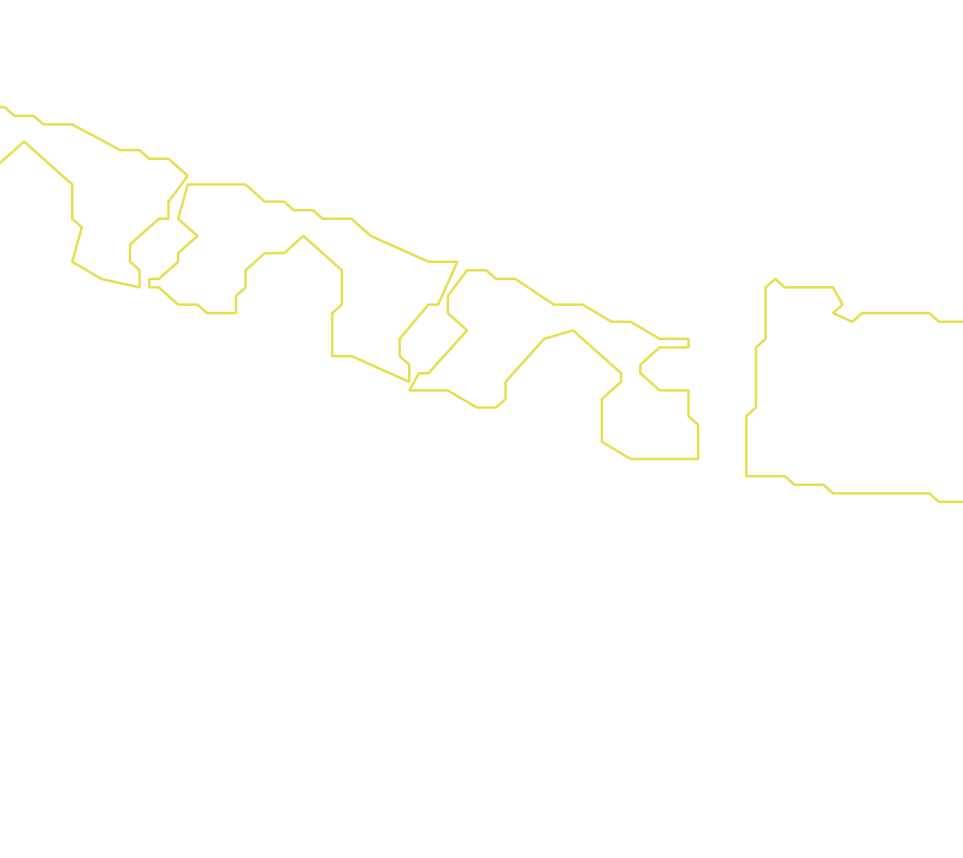 Daksegment met contourlijnen en structuurweergave