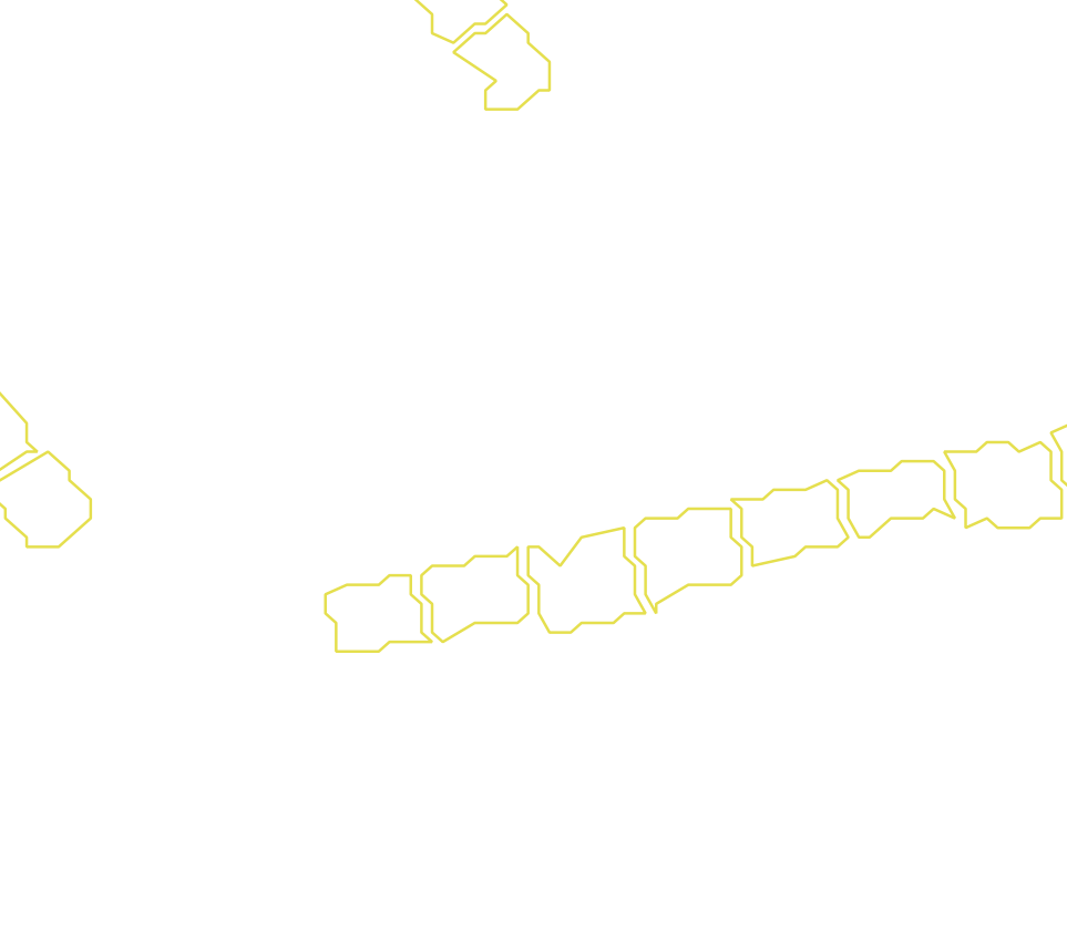 Daksegment met contourlijnen en structuurweergave