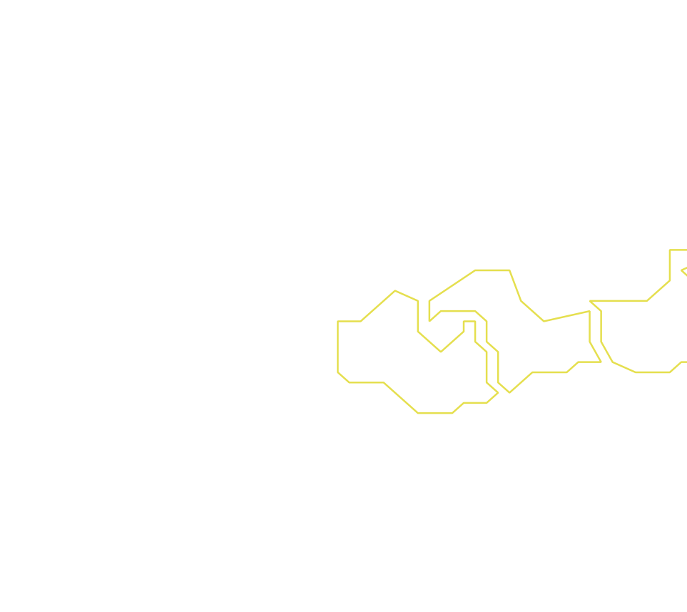 Daksegment ingezoomd met contourlijnen en structuurweergave