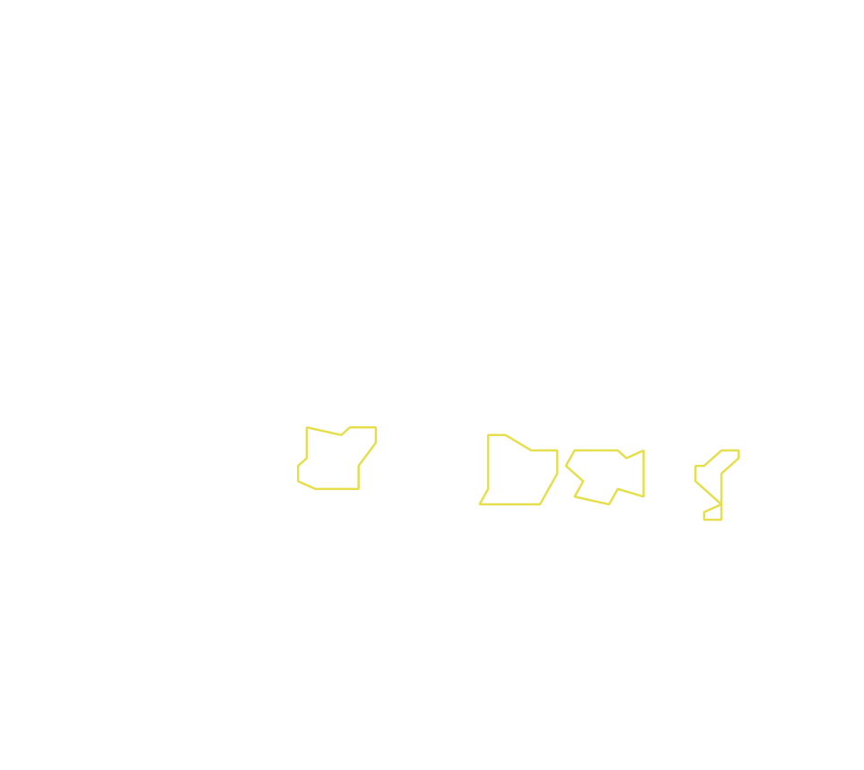 Daksegment met contourlijnen en structuurweergave