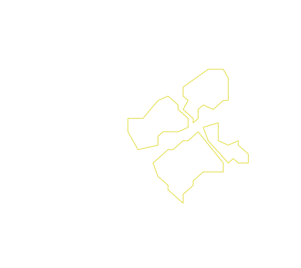 Daksegment ingezoomd met contourlijnen en structuurweergave
