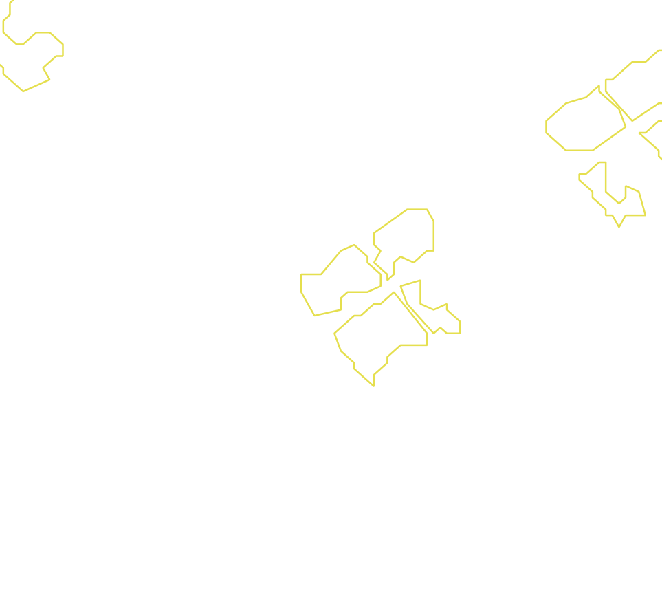 Daksegment met contourlijnen en structuurweergave