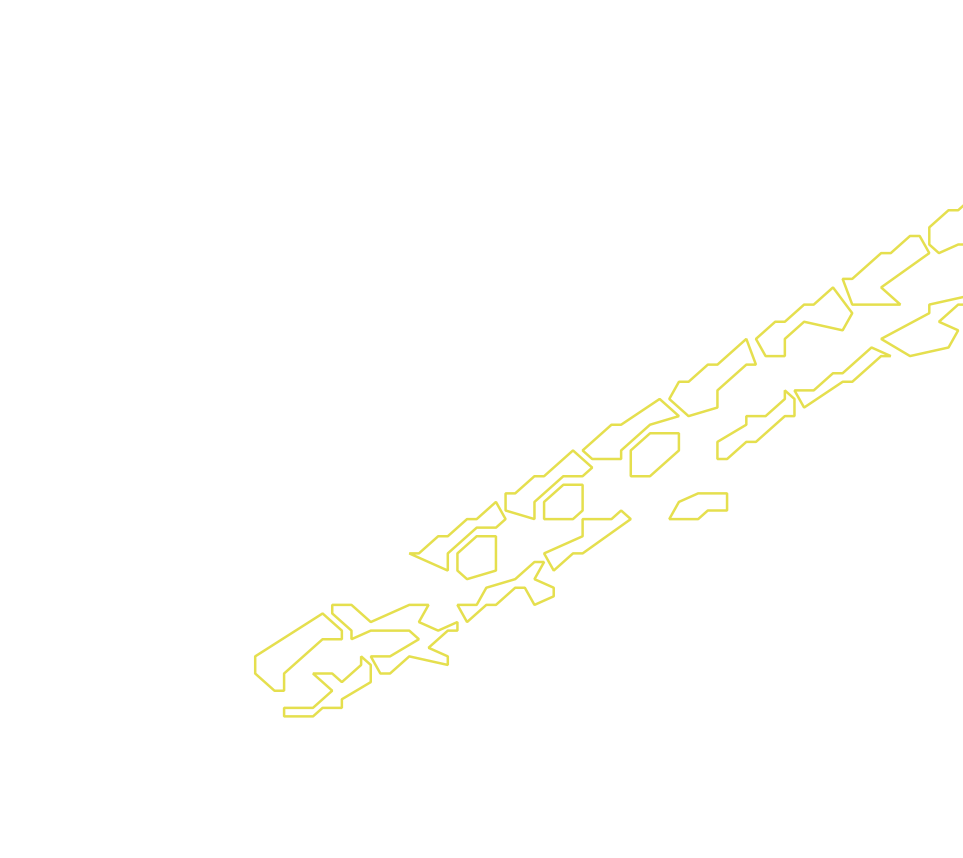 Daksegment met contourlijnen en structuurweergave