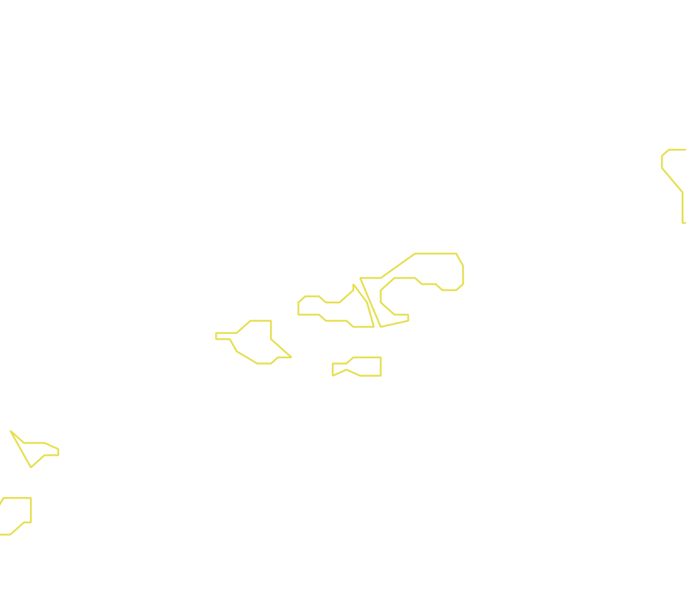 Daksegment met contourlijnen en structuurweergave