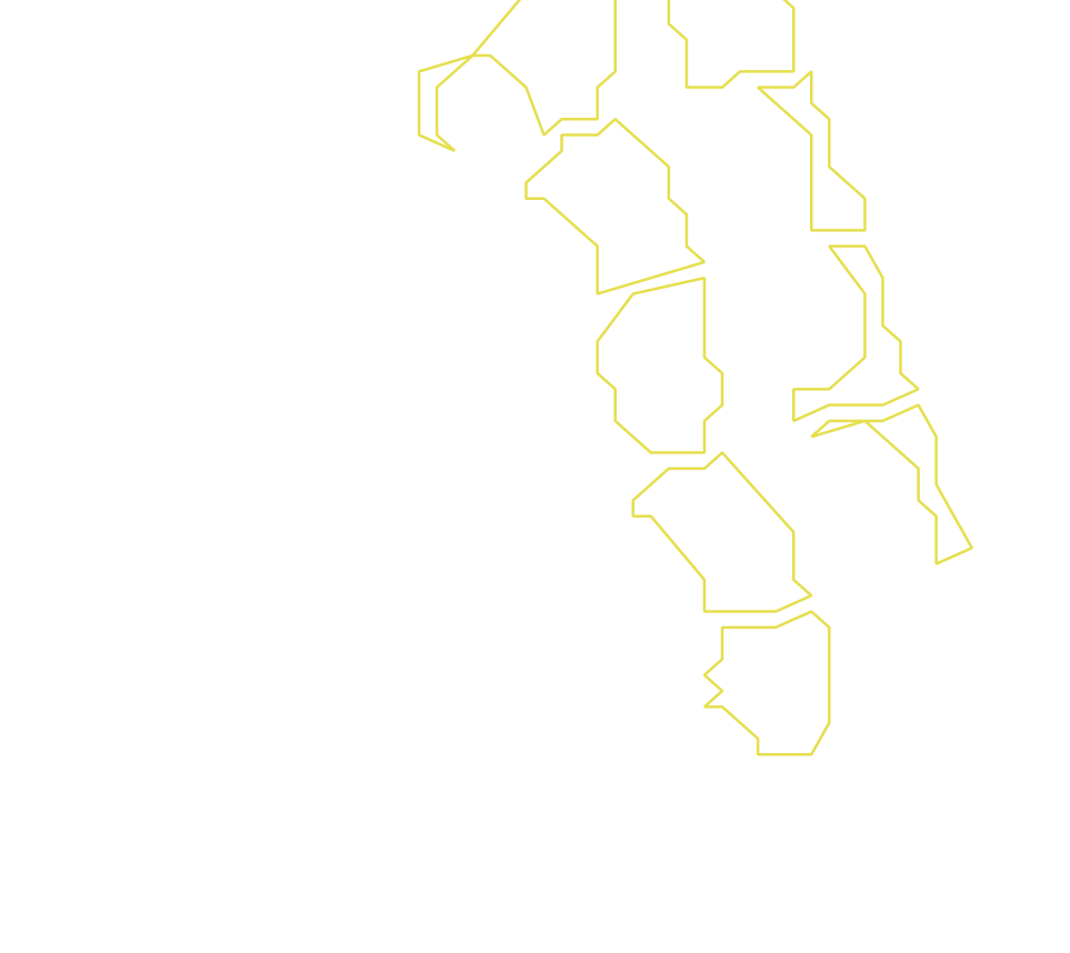 Daksegment ingezoomd met contourlijnen en structuurweergave