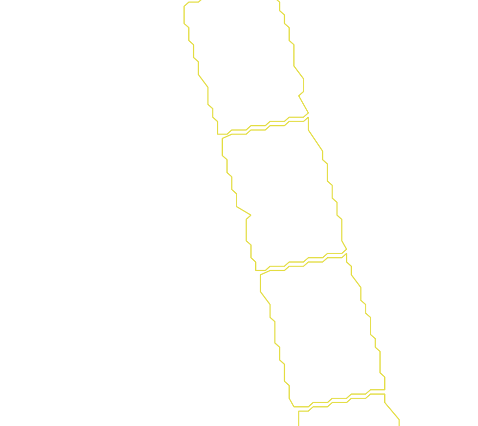 Daksegment met contourlijnen en structuurweergave