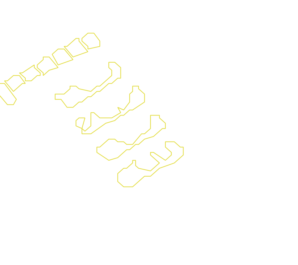 Daksegment met contourlijnen en structuurweergave
