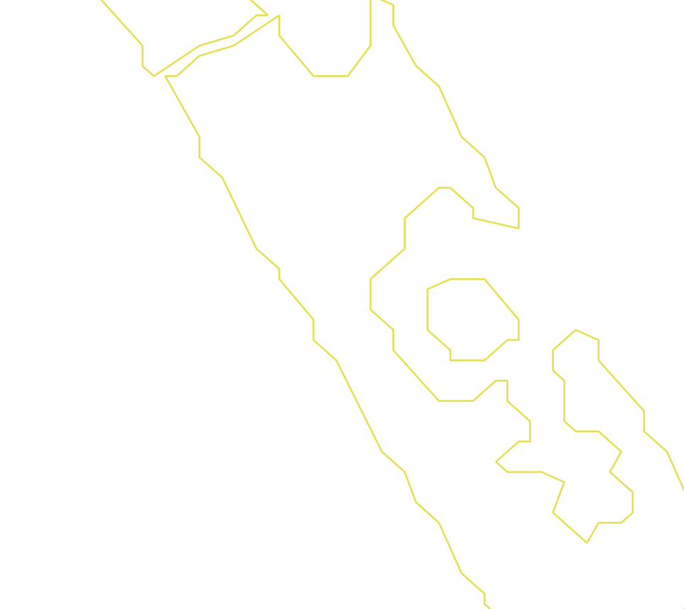 Daksegment ingezoomd met contourlijnen en structuurweergave