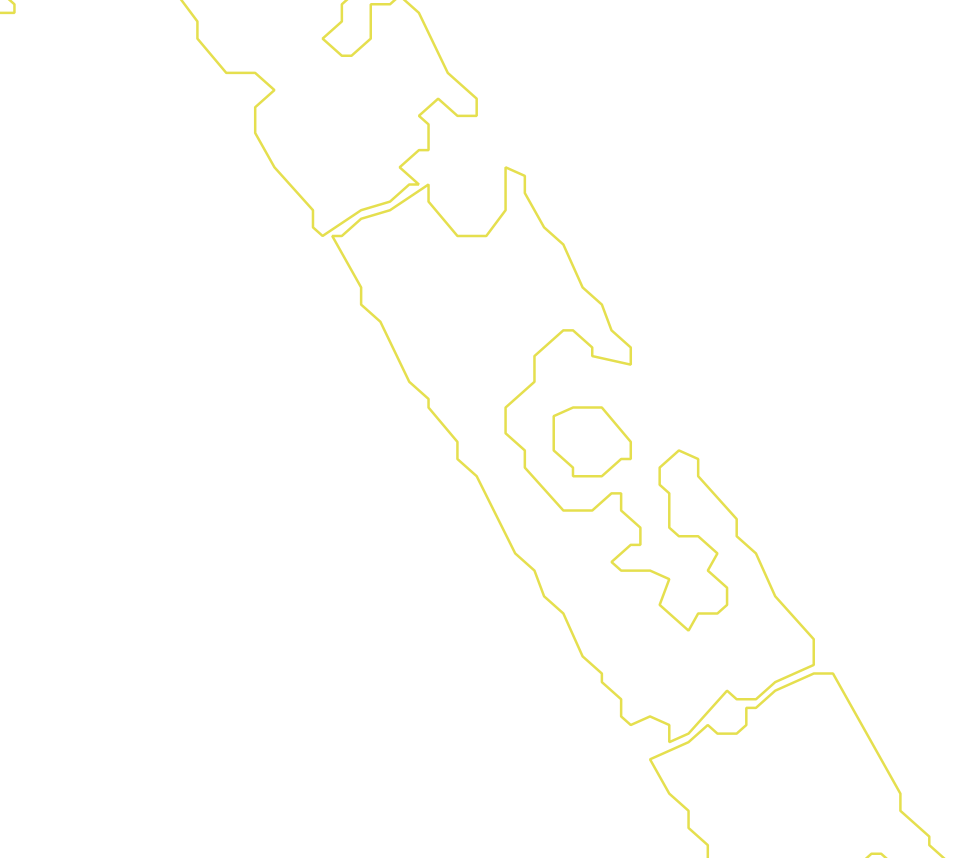 Daksegment met contourlijnen en structuurweergave