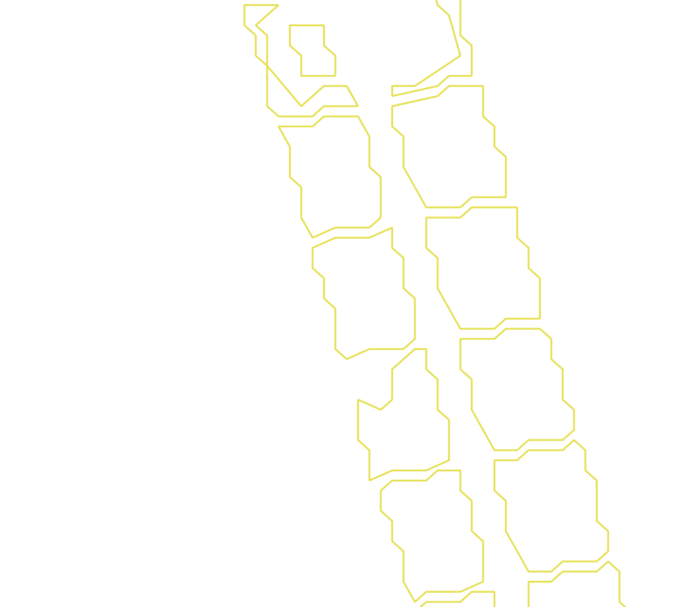 Daksegment ingezoomd met contourlijnen en structuurweergave