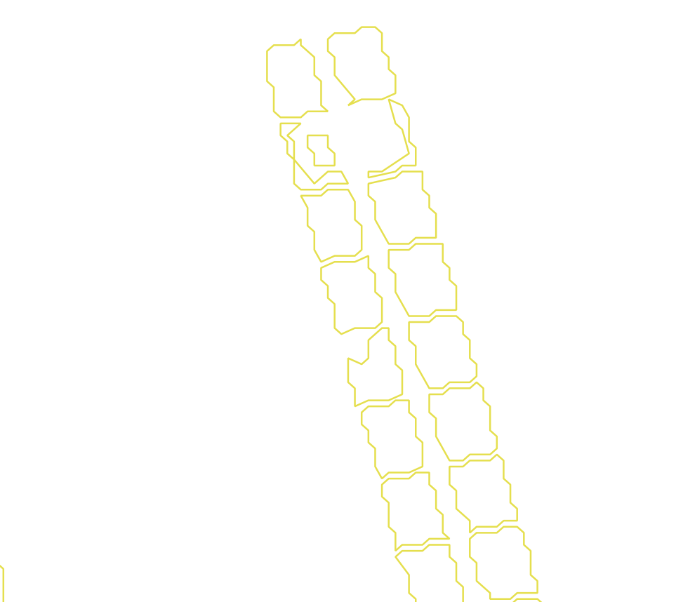 Daksegment met contourlijnen en structuurweergave