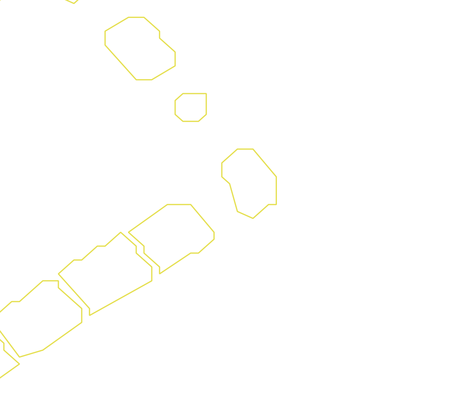 Daksegment ingezoomd met contourlijnen en structuurweergave
