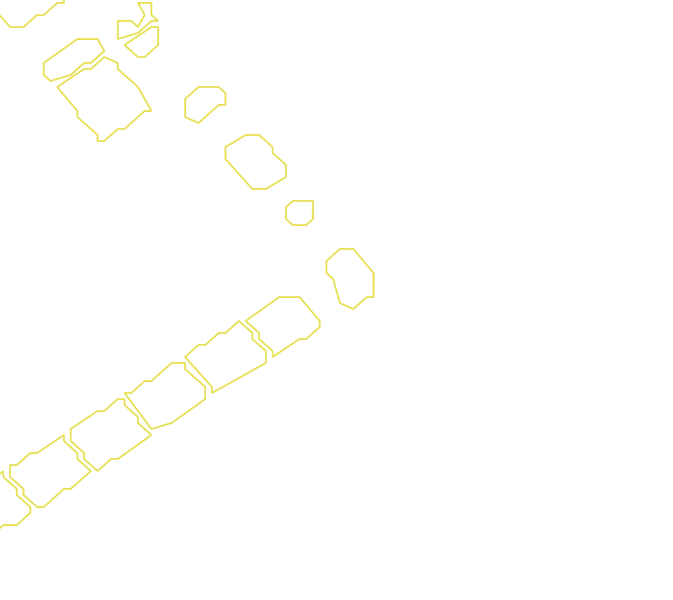 Daksegment met contourlijnen en structuurweergave