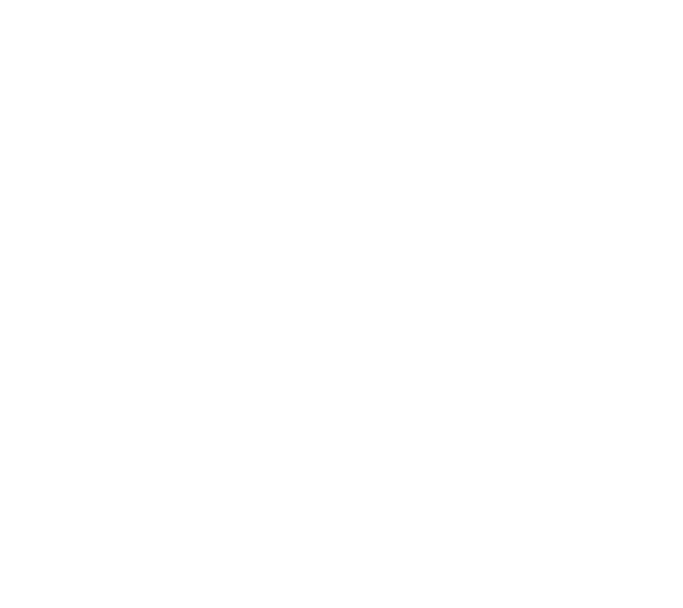 Daksegment met contourlijnen en structuurweergave