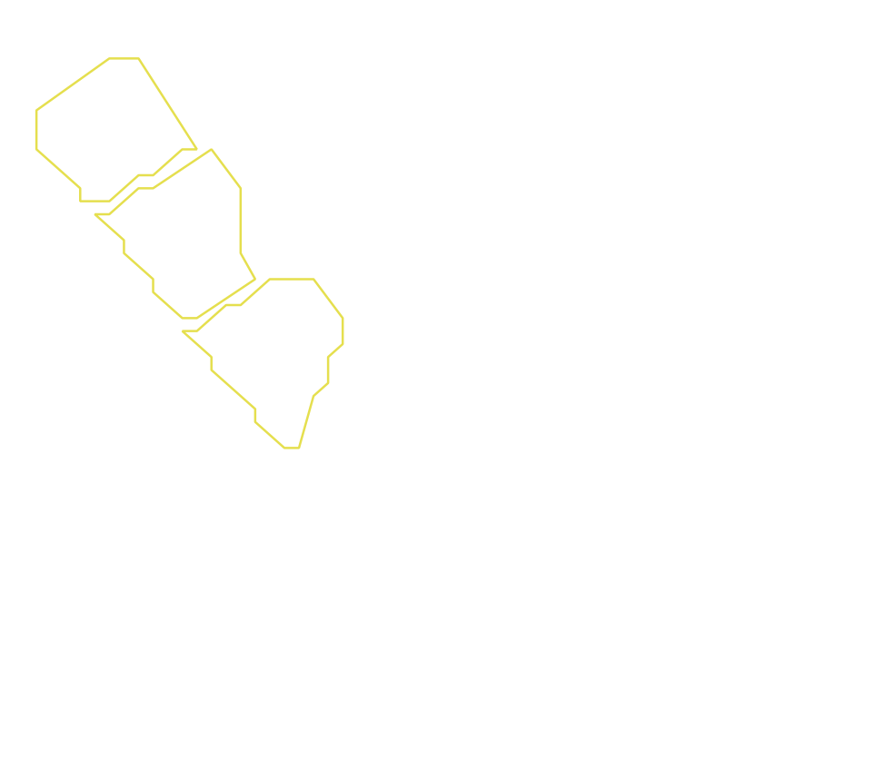 Daksegment ingezoomd met contourlijnen en structuurweergave