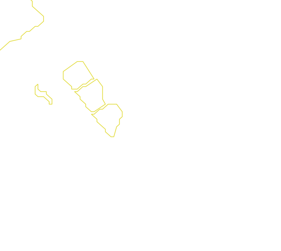 Daksegment met contourlijnen en structuurweergave