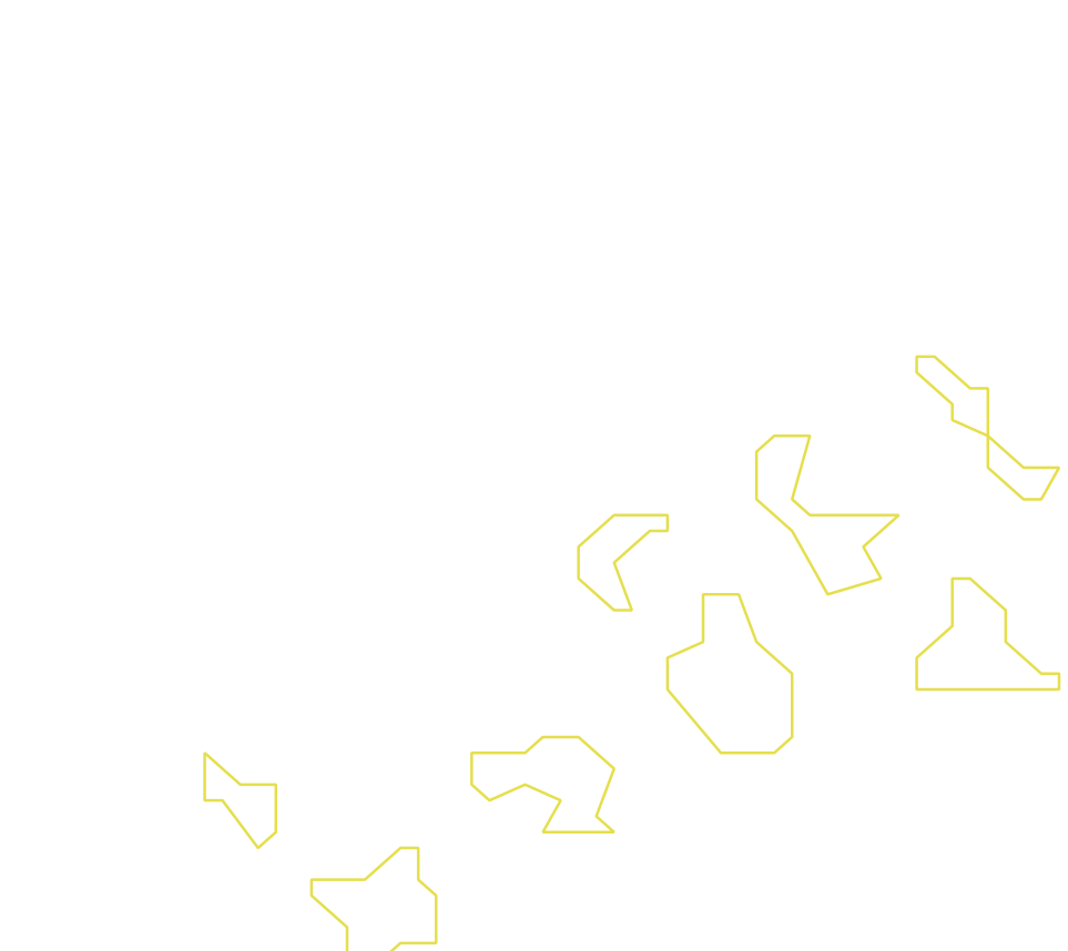 Daksegment ingezoomd met contourlijnen en structuurweergave