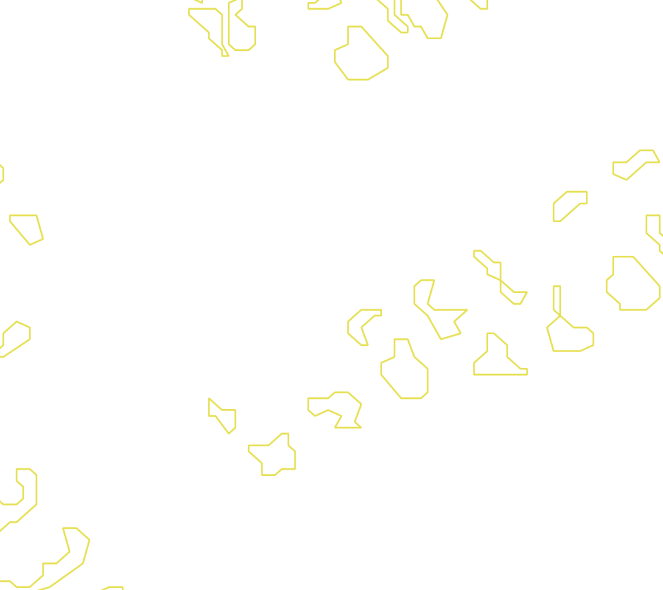 Daksegment met contourlijnen en structuurweergave