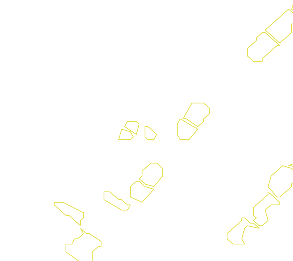 Daksegment met contourlijnen en structuurweergave