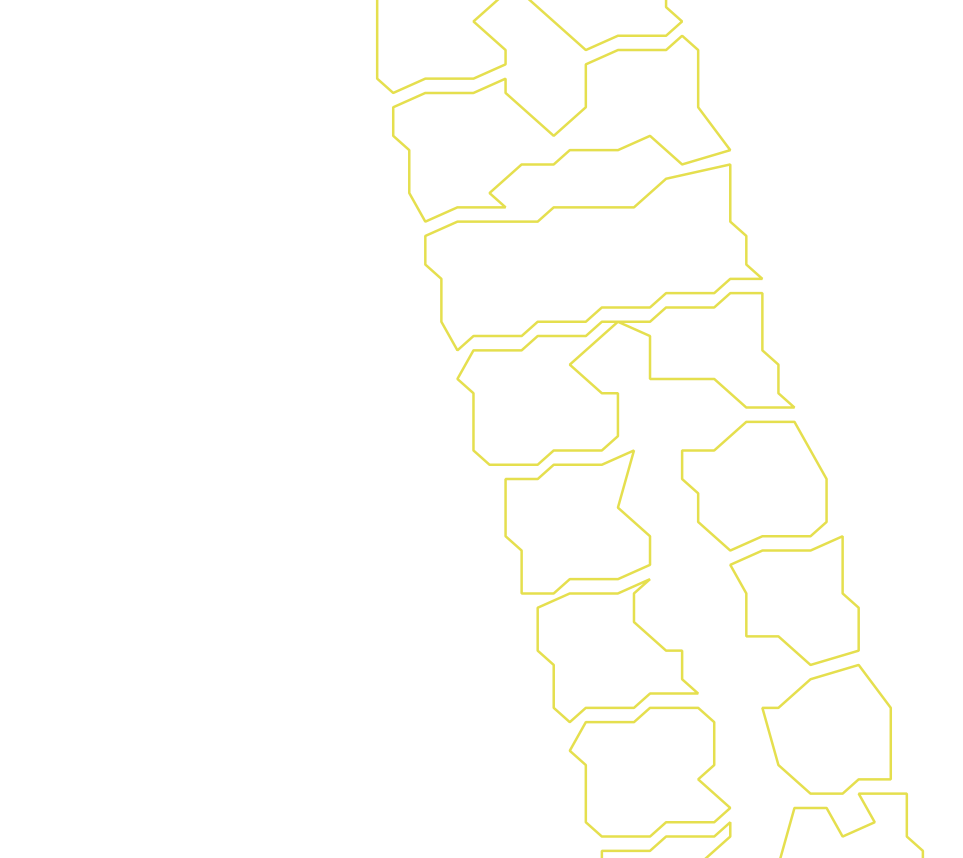 Daksegment ingezoomd met contourlijnen en structuurweergave