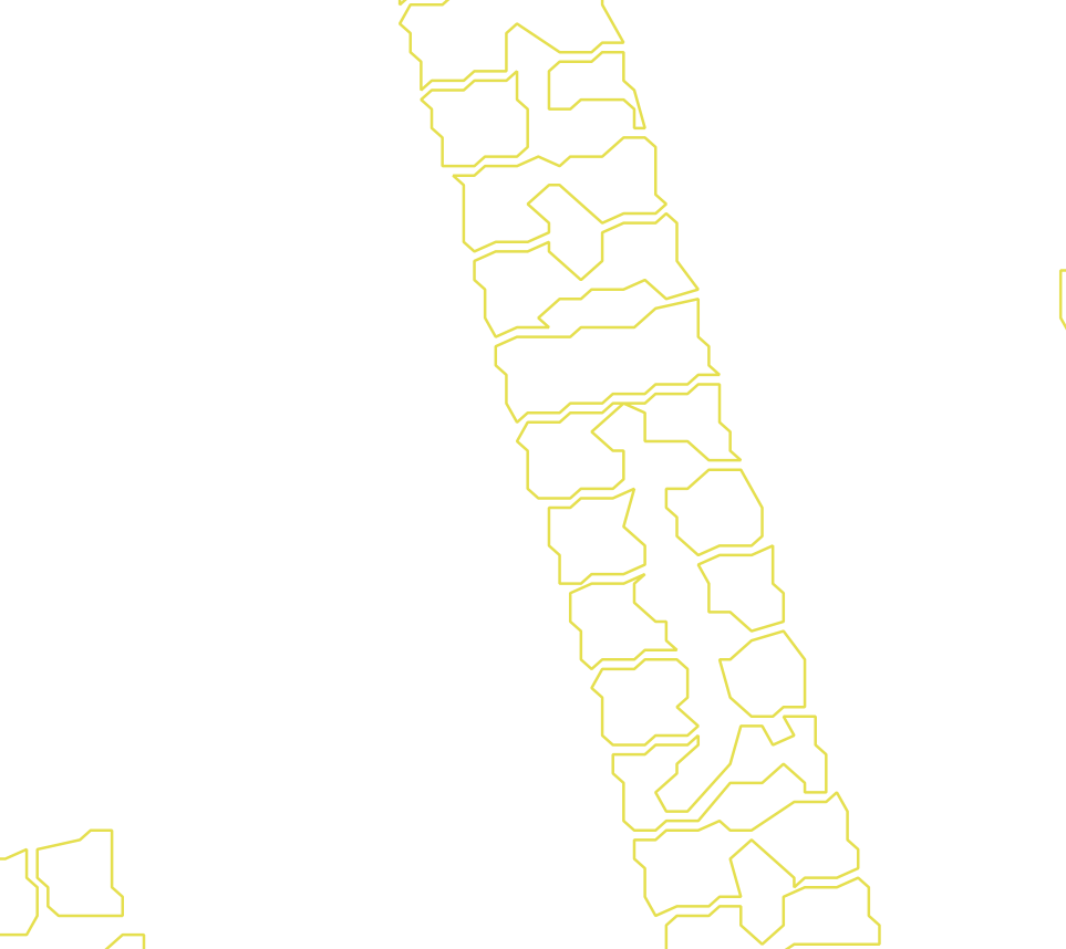 Daksegment met contourlijnen en structuurweergave