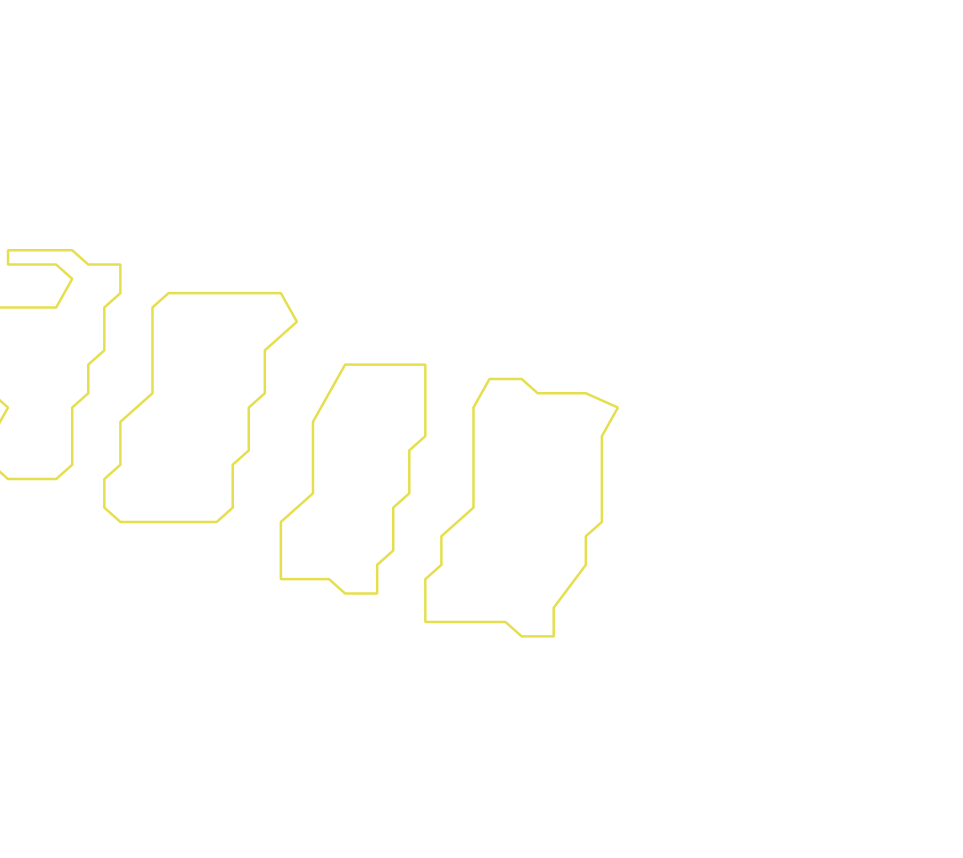 Daksegment ingezoomd met contourlijnen en structuurweergave