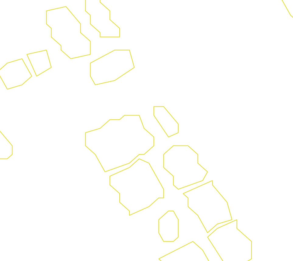 Daksegment ingezoomd met contourlijnen en structuurweergave